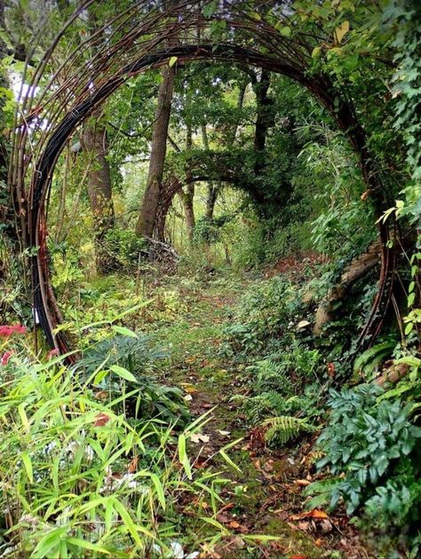 Enchanted Forest Yard Ideas, Secret Garden In The Woods, Garden In Forest, Woodland Garden Ideas, Witchy Backyard, Celtic Garden, Hobbit Garden, Have Inspiration, Forest Garden