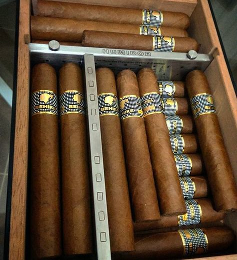 Cohiba Behike, Cigars Accessories, Guys Photos, Cohiba Cigars, Cazal Eyewear, Lala Land, Pipes And Cigars, Cuban Cigars, Good Cigars