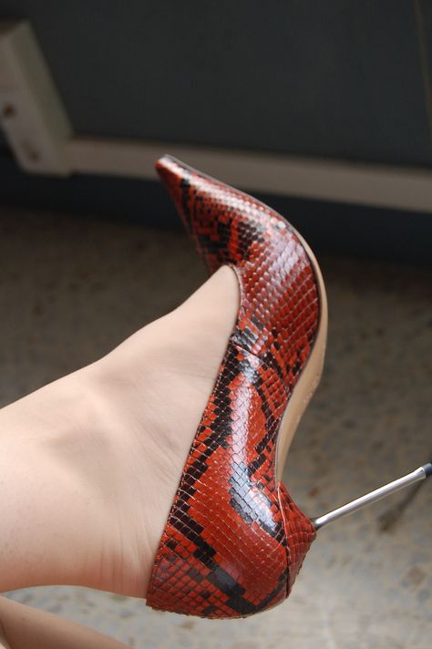 Best Heels, Snake Shoes, Gianmarco Lorenzi, Ladies Shoes, Shoe Obsession, Heel Pumps, High Heel Pumps, Snake Skin, Pumps Heels