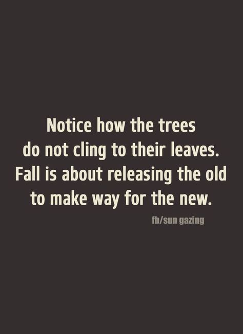 Leaves Quotes, Leaf Quotes, Leaves Falling, Personal Growth Motivation, Autumn Tree, Spiritual Power, Autumn Quotes, Wise Words Quotes, Nature Quotes