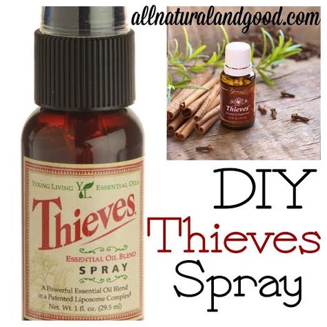 DIY Thieves Spray - All Natural & Good allnaturalandgood.com Theives Oil, Diy Thieves, Thieves Spray, Thieves Oil, Thieves Essential Oil, Young Living Essential Oils Recipes, Essential Oil Spray, Yl Essential Oils, Diy Sprays