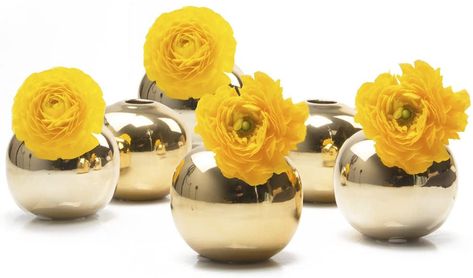 AmazonSmile: Chive - Set of 6 JoJo Small 3" Sphere, Round Ceramic Flower Vase, Decorative Modern Floral Vase for Home Decor Living Room Centerpieces and Events, Cute Bud Vase (Gold): Home & Kitchen Small Vases With Flowers, Gold Votive Candle Holders, Gold Votive Candles, Glass Tealight Candle Holders, Vase Gold, Ceramic Flower Vase, Centerpieces Wedding, Gold Vases, Indoor Flowers