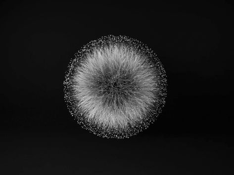 Dandelion Logo, Logo Design Japanese, Dandelion Designs, Astral Projection, Love Shape, 3d Design, Creative Professional, Global Community, Dandelion