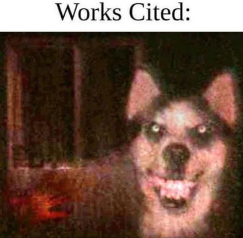 Smile Dog, Zed League Of Legends, Gif Terror, Scary Images, Creepy Core, Creepy Photos, Scary Dogs, Creepy Images, Smiling Dogs