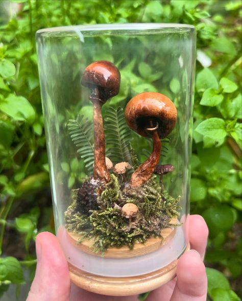 AVAILABLE: “Rainy” Forest Preserved Mushroom Dome. Truly feels like I’m holding a piece of forest in my hand 🥺 . . . #smallbusiness #art #artist #forest #nature #diorama #oddity #curiosity #curiosities #oddities #mushroom #fungi #mushrooms #green #resin #resinart #preserved #flowers #plants #plant #garden #goblincore #fairycore #cottagecore #fae #faerie #rainforest #moss Preservation Art, Rainy Forest, Goblincore Fairycore, Goblin Core, Plant Garden, Mushroom Fungi, Forest Nature, Fairycore Cottagecore, Preserved Flowers