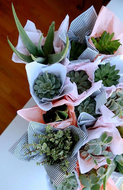 Teacher Plant Gift Ideas, Mothers Day Plant Gifts, Church Mothers Day Gifts Ideas, Succulent Teacher Gift, Mother’s Day Flowers, Plant Gift Ideas, Mother Day Gift Ideas, Graduation Teacher, Mothers Day Plants