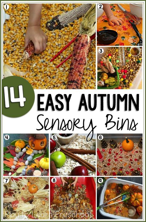 These 14 Easy Autumn Sensory Bins bring all the wonderful smells, sight, textures and sounds of the season into the classroom. Sensory Bins For Toddlers, Sensory Bin Ideas, Sensory Bin Play, Fall Sensory Bin, Fall Sensory, Toddler Sensory Bins, Sensory Tubs, Sensory Tub, Sensory Crafts