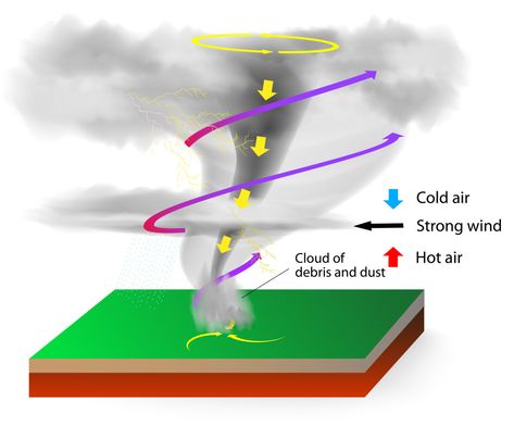 Tornado Formation  #Education #Kids #Tornadoes #Earth Tornado Formation, Tornado In A Jar, Weather Experiments, Weather Projects, Weather Science, Science Questions, Making A Model, Diagram Design, Facts For Kids