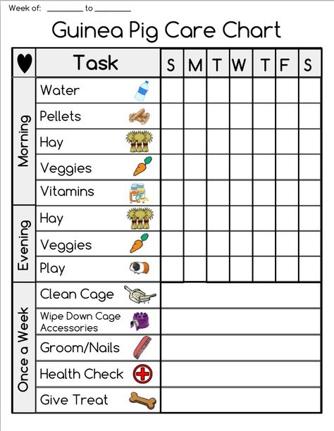 My Guinea Pig Chore Chart that I created for my Guinea Pigs!! Diy Guinea Pig Toys, Diy Guinea Pig Cage, Guinea Pig Diy, Pig Care, Guinea Pig Food, Guinea Pig (toy), Guinea Pig House, Class Pet, Pig Food