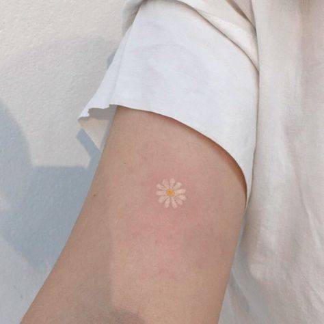 Daisy Tatoos Ideas, Tiny Daisy Tattoo, Daisy Tatoos, Daisies Tattoo, Tattoo Cafe, Lucet, Daisy Tattoo, Small Pretty Tattoos, Petite Tattoos