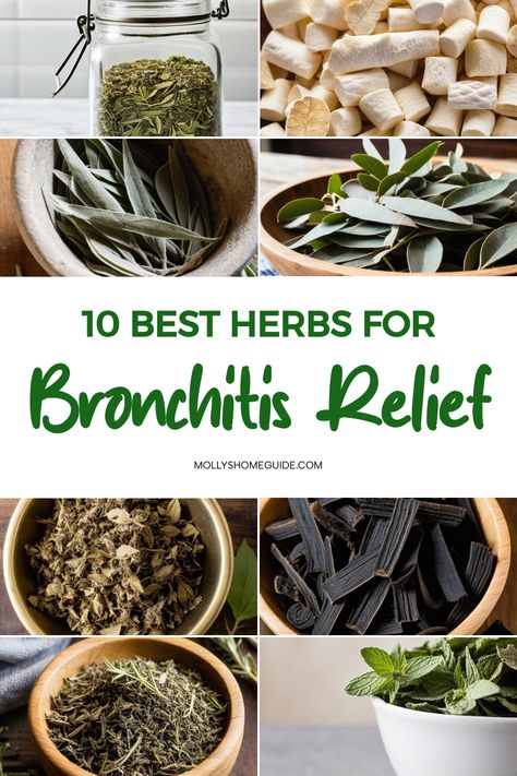 Best Herbs For Cough, Best Herbs For Respiratory, Foods To Help Bronchitis, Herbal Remedies For Bronchitis, Herbal Remedies For Cough, Herbs For Chest Congestion, Home Remedy For Bronchitis Cough, Natural Lung Healing, Herbs For Coughing