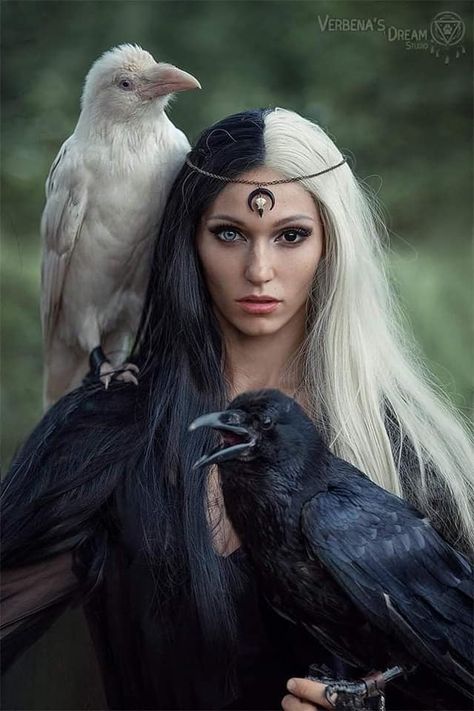 Witch Girl, Raven Art, Fantasy Photography, Witch Aesthetic, Fantasy Aesthetic, Edgar Allan Poe, Dark Beauty, Crows, Art Reference Photos