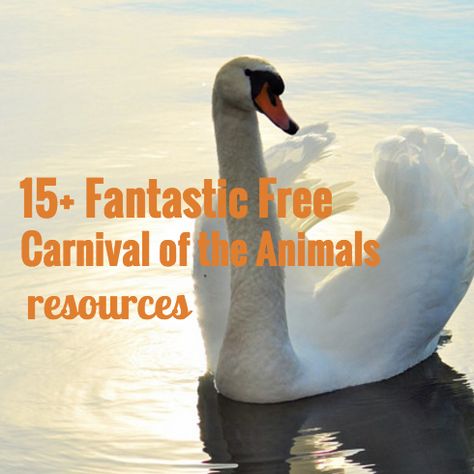 15+ Fantastic Free Carnival of the Animals Resources Music Class Activities, Animal Lessons, Music Theory Worksheets, Carnival Of The Animals, Music Camp, Music Lessons For Kids, Early Music, Music Curriculum, Music Lesson Plans