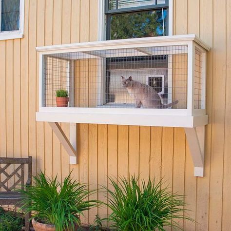 Existen los patios para gatos y se llaman catios - Foto 1 Cat Patios, Diy Cat Enclosure, Katt Diy, Cat Playground Outdoor, Katt Grejer, Kat Diy, Cat Patio, Outdoor Cat Enclosure, Cat Run