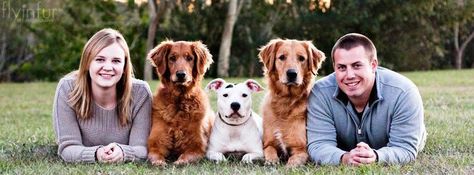 Cute "family" picture.  Probably doing "family" pictures this spring with Ruby. Family Dog Pictures, Elegant Pictures, Dog Family Pictures, Friendly Photography, Family Dog Photos, Dogs Wedding, Dog Photography Poses, Dogs Ideas, Prenup Ideas