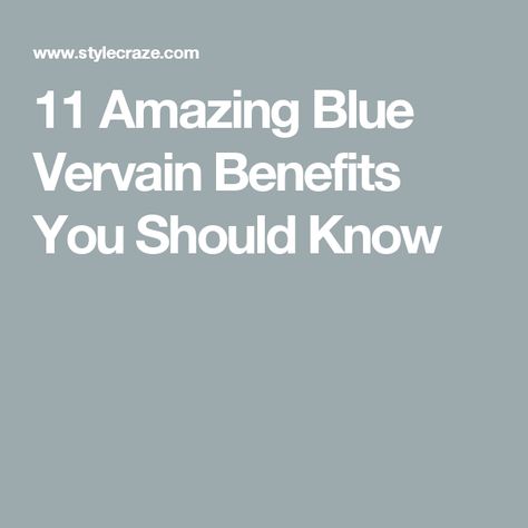 11 Amazing Blue Vervain Benefits You Should Know Benefits Of Blue Vervain, Vervain Tea Benefits, Blue Vervain Benefits, Vervain Benefits, Valerian Benefits, Flower Teas, Hand Fastening Ceremony, Blue Vervain, Flowers And Mushrooms