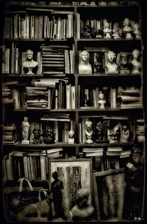 Mr Pennyweight his rather fond of collecting busts. Frankly, I find them a little creepy. Creepy Library, Book Story, Library Aesthetic, Currently Reading, Personal Library, Banned Books, Home Libraries, Ralph Waldo Emerson, Believe In Magic