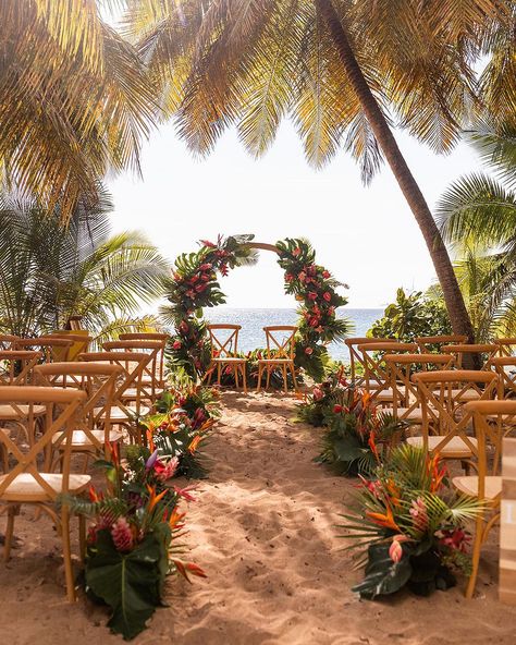 Wedding Planner Guadeloupe | Un mariage tropical comme beaucoup en rêve sur la plage ! 🌴 Avec @studio_flowa c’est ce que nous avons réalisé pour L & M le 17 Avril… | Instagram Tropic Wedding, Floral Beach Wedding, Seychelles Wedding, Modern Tropical Wedding, Wedding Mexico, Wedding Tropical, Jamaica Wedding, Wedding Concept, Tropical Beach Wedding