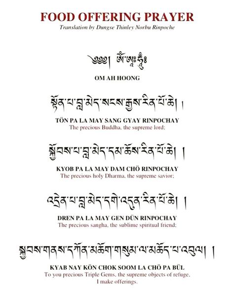 @karma_lodro_gyatso_yip on Instagram: “With an exception of monks and lamas how many of you do actually recite prayer before taking food or tea? I think very few!!! As a Buddhist…” Prayer Before Eating Meals, Prayer Before Eating, Buddhism Prayer, Buddhist Prayers, Nepal Tattoo, Tibetan Language, Food Prayer, Buddhism Beliefs, Offering Prayer