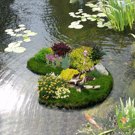 flower garden pictures | Floating Flower Gardens - The Green Head Flower Garden Pictures, Floating Flower, Floating Garden, Pond Water Features, Floating Plants, Carpe Koi, Pond Plants, Floating Flowers, Water Features In The Garden