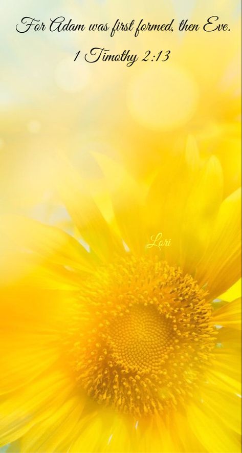 Afternoon Wallpaper, Sunflower Iphone Wallpaper, Sunflower Pictures, Sunflower Wallpaper, Beautiful Flower Arrangements, Yellow Wallpaper, Cute Wallpaper For Phone, Beautiful Rose Flowers, Yellow Aesthetic