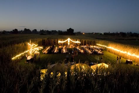 Wedding in a corn field. Top view. Corn Maze Wedding, Field Party Wedding, Wheat Field Wedding Ceremony, Corn Field Wedding Ceremony, Corn Field Wedding, Field Wedding Reception, Field Wedding Ideas, Wheat Field Wedding, Field Picture Ideas