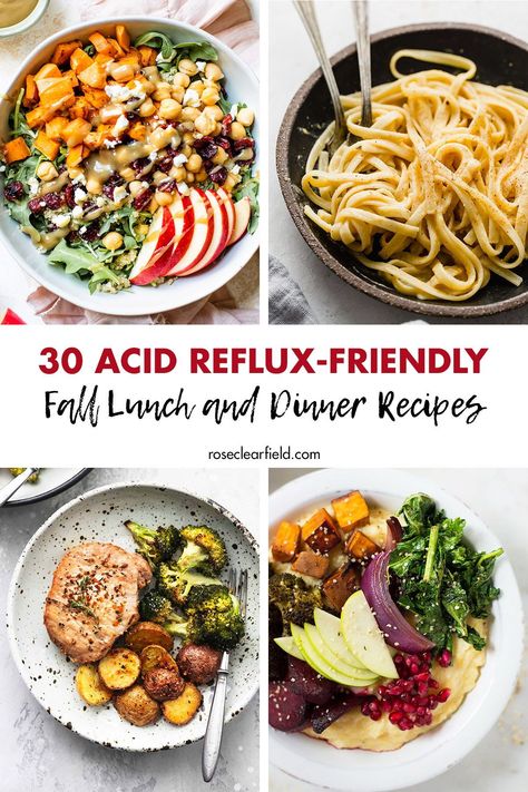 Reflux Diet Recipes, Gerd Diet Recipes, Acid Reflex, Acid Reflux Friendly Recipes, Dinner Ideas For Kids, Gerd Friendly Recipes, Acid Reflux Diet Meals, Gerd Friendly, Gerd Recipes