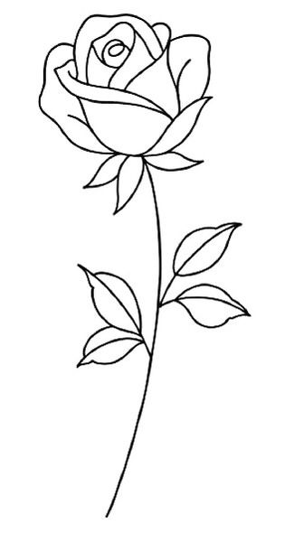 Outline Images Of Flowers, Easy Rose Doodle, Outline Of Flowers Simple, Pola Organis, Outline Drawings Easy, Rose Simple Drawing, Pretty Flower Drawings, Flowers Outline Drawing, Floral Outline Drawing