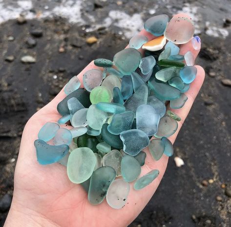 Matilda Core, Underwater Rocks, Collection Aesthetic, Seaside Decor, Shell Collection, She Sells Seashells, Sea Glass Beach, Pretty Rocks, Cool Rocks