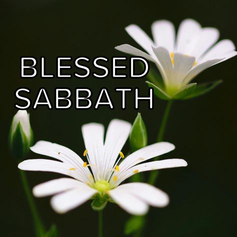 REMEMBER GODS BLESSED SABBATH DAY Blessed Sabbath Day, Blessed Sabbath, The Sabbath Day, Sabbath Day, Bible Study Verses, King James Version, King James, God Bless