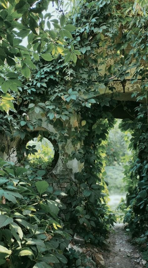 Fantasy Places Secret Gardens, Overgrown Manor, Overgrown Fountain, Elven Garden, Overgrown Ruins, Forest Ruins, Garden Vines, Forest Path, Fantasy Forest