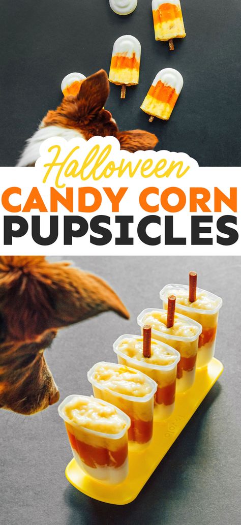 Candy Corn Dog Treats, Dog Popsicles, Candy Corn Dog, Halloween Dog Treats, Diy Halloween Treats, Frozen Dog Treats, Healthy Budget, Doggie Treats, Treats For Dogs