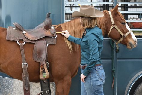 Everything You Need to Know About Saddle Fitting Saddle Fitting Western, Horse Age, Sway Back, Muscle Atrophy, Saddle Fitting, Used Saddles, English Saddle, Horse Owner, Horse Crazy