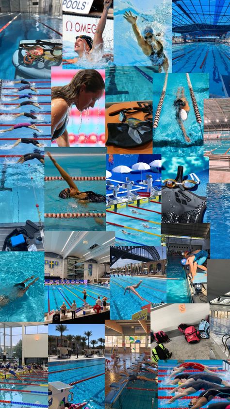 Swimming Collage Wallpaper, Swimming Aesthetic Wallpaper, Swimmers Aesthetic, Swimming Sport Aesthetic, Swimming Collage, Competitive Swimming Aesthetic, Swimming Aesthetic Sport, Swim Team Aesthetic, Swimming Wallpaper