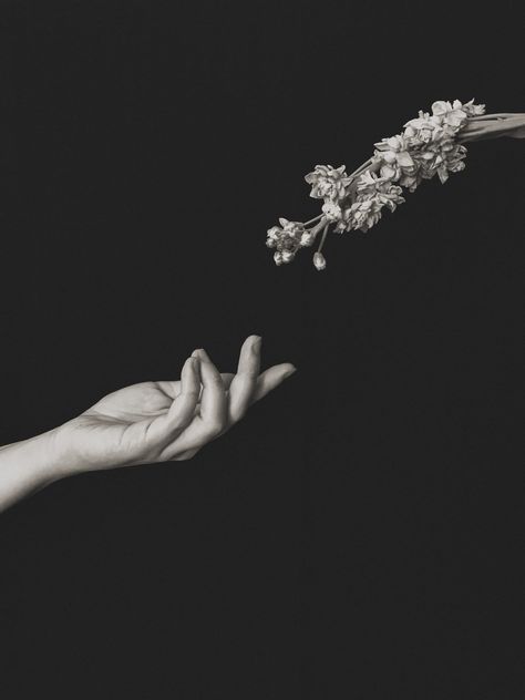 Hand Photography Black And White, Black And White Hands, Earth Medicine, Hand Wallpaper, Sacred Earth, Black And White Girl, Hand Photography, Flower Photoshoot, Painting Inspo