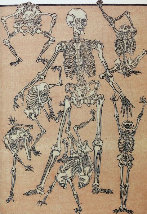 Kawanabe Kyōsai Skeleton Drawings, Japanese Drawings, Japanese Illustration, Skeleton Art, Anatomy Drawing, Japanese Painting, Skeletal, Japan Art, Anatomy Art