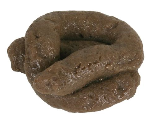 Fake Poop, Dog Poo, Background Powerpoint, Practical Jokes, Travel Pillow