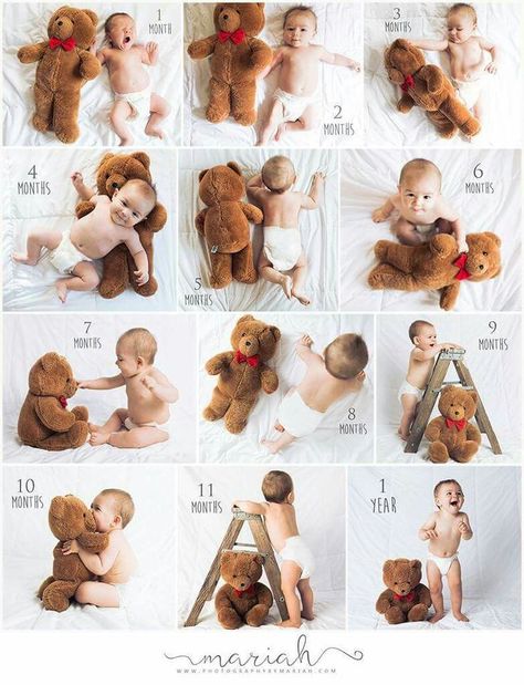 6 Month Baby Picture Ideas, Baby Milestones Pictures, Monthly Baby Pictures, Baby Fotografie, Baby Milestone Photos, Monthly Baby Photos, Milestone Pictures, Newborn Baby Photoshoot, Newborn Baby Photos