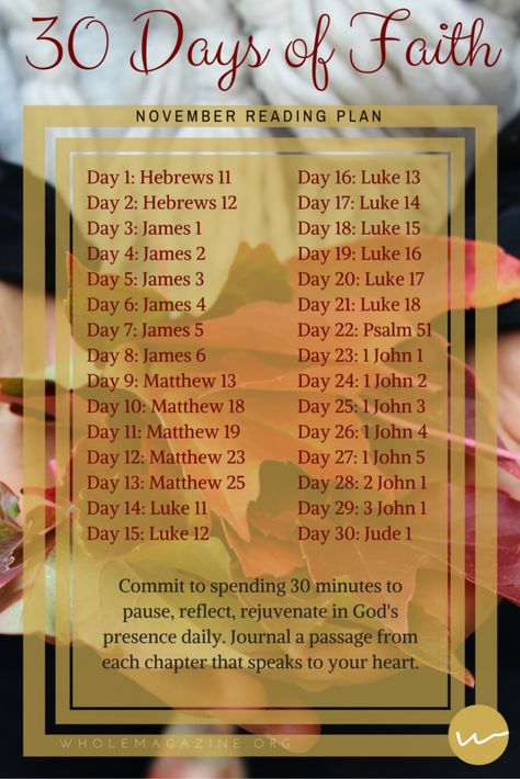 November Bible Reading Plan // 30 Days of Faith // Whole Magazine November Bible Reading Plan, Faith Bible Study, Scripture Writing Plans, Scripture Writing, Writing Plan, Bible Study Plans, Bible Study Tips, Bible Challenge, Bible Plan