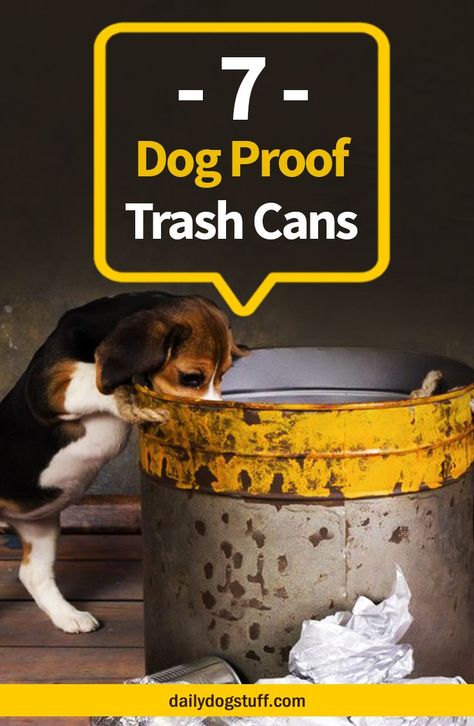 Dog Proof Trash Can, Bored Dog, Cute Dog Collars, Dog Information, Dog Hacks, Puppy Collars, Dog Care Tips, Dog Training Collar, Boot Camp