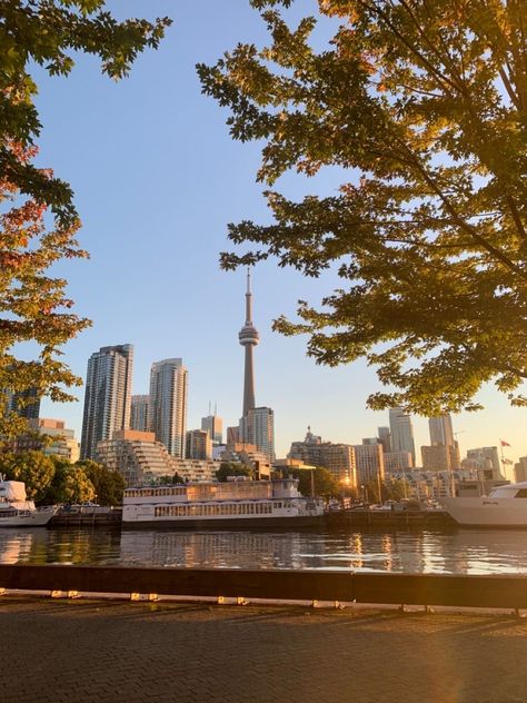 Toronto Sunset Aesthetic, Live In Canada Aesthetic, Living In Toronto Canada, Canada Aethstetic, Toronto Astethic, Toronto Canada Photography, Summer Canada Aesthetic, Canada Core Aesthetic, Canada Ontario Aesthetic