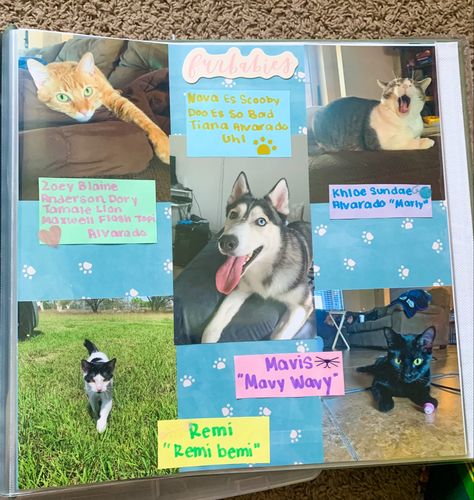 Scrapbook Ideas Pets, Scrapbooking Dogs Ideas, Animal Scrapbook Ideas, Dog Journal Page, Dog Scrapbook Pages Ideas, Dog Photo Album Ideas, Pet Journal Ideas, Pet Scrapbook Ideas, Dog Scrapbook Layouts Ideas