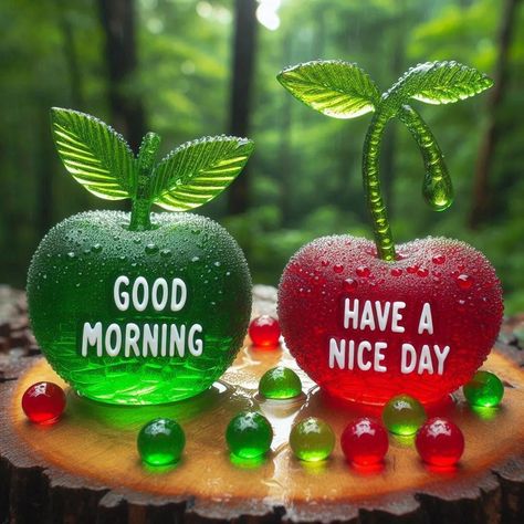 Good morning Morning Pictures Instagram, Morning Fruit, Good Morning Beautiful Gif, Cute Good Morning Images, Good Morning Images Flowers, Morning Gif, Good Morning Photos, Cute Good Morning, Good Morning Gif