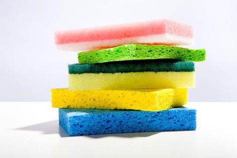 Easy Cleaning Hacks, Dish Rag, Kitchen Sponge, Good Housekeeping, Household Cleaners, House Cleaning Tips, Clever Diy, Cleaning Organizing, Spring Cleaning