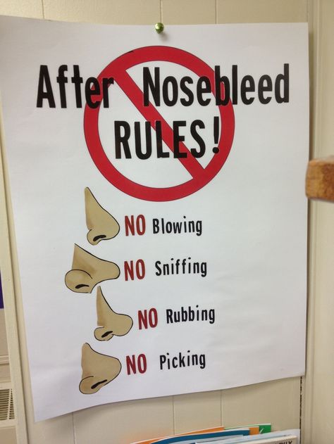 Posters for School Nurses Office | After nosebleed rules poster. School Nurse Decorations, School Nurse Elementary, School Nurse Posters, Nurse Bulletin Board, School Nurse Office Decorations, Health Bulletin Boards, Nurse Office Decor, Nurse Ideas, Office Posters