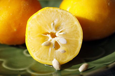 Jam Maker, Fruit Plus, Lemon Seeds, Citrus Recipes, Jam And Jelly, Meyer Lemon, Lemon Tree, Citrus Fruit, Juicing Lemons