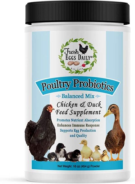 Amazon.com : FRESH EGGS DAILY Poultry Probiotics Feed Supplement Vitamins for Backyard Chickens and Ducks 1LB : Pet Supplies Chickens And Ducks, Sources Of Probiotics, Duck Feed, Day Old Chicks, Poultry Supplies, Poultry Feed, Backyard Poultry, Egg Production, Vitamin F