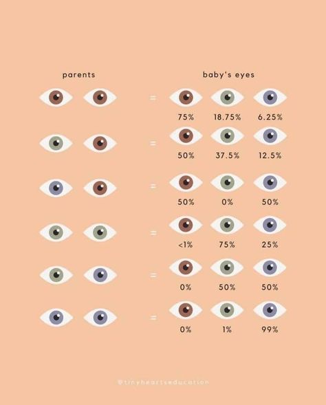 Eye Color Chart, Baby Fever, Color Chart, Eye Color, Movie Posters, Color, Film Posters