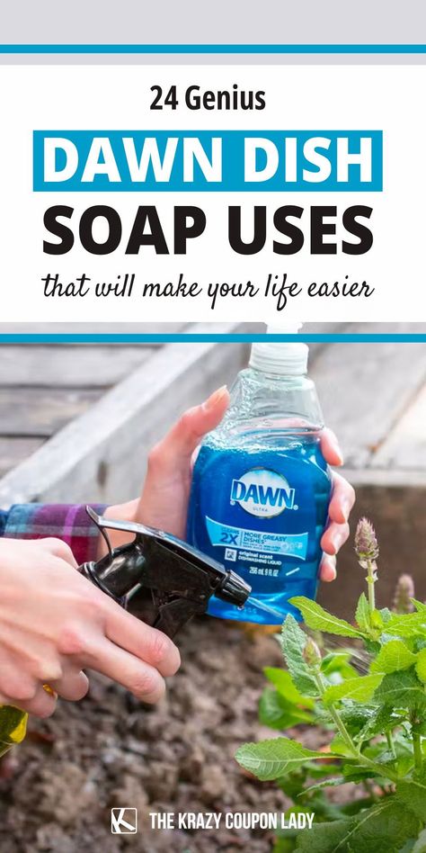 Dawn Dish Soap To Get Rid Of Moles, Dawn Dish Soap Uses, Insecticidal Soap Recipe, Dawn Dish Soap Hacks, Diy Bug Repellent Spray, Diy Insecticidal Soap, Vinegar Epsom Salt Dawn Dish Soap, Diy Dawn Dish Soap, Cleaning Hacks With Dawn Dish Soap