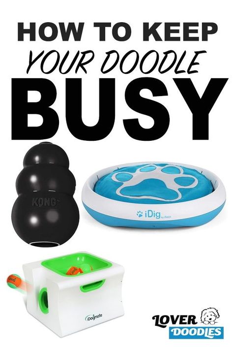 Dog Boredom Busters While At Work, Ideas To Keep Dogs Busy, Keep Puppy Busy While At Work, How To Keep A Puppy Busy, Best Dog Toys To Keep Them Busy, How To Keep Your Dog Entertained, Activities For Puppies, Keeping Puppy Busy Ideas, Dog Busy Toys